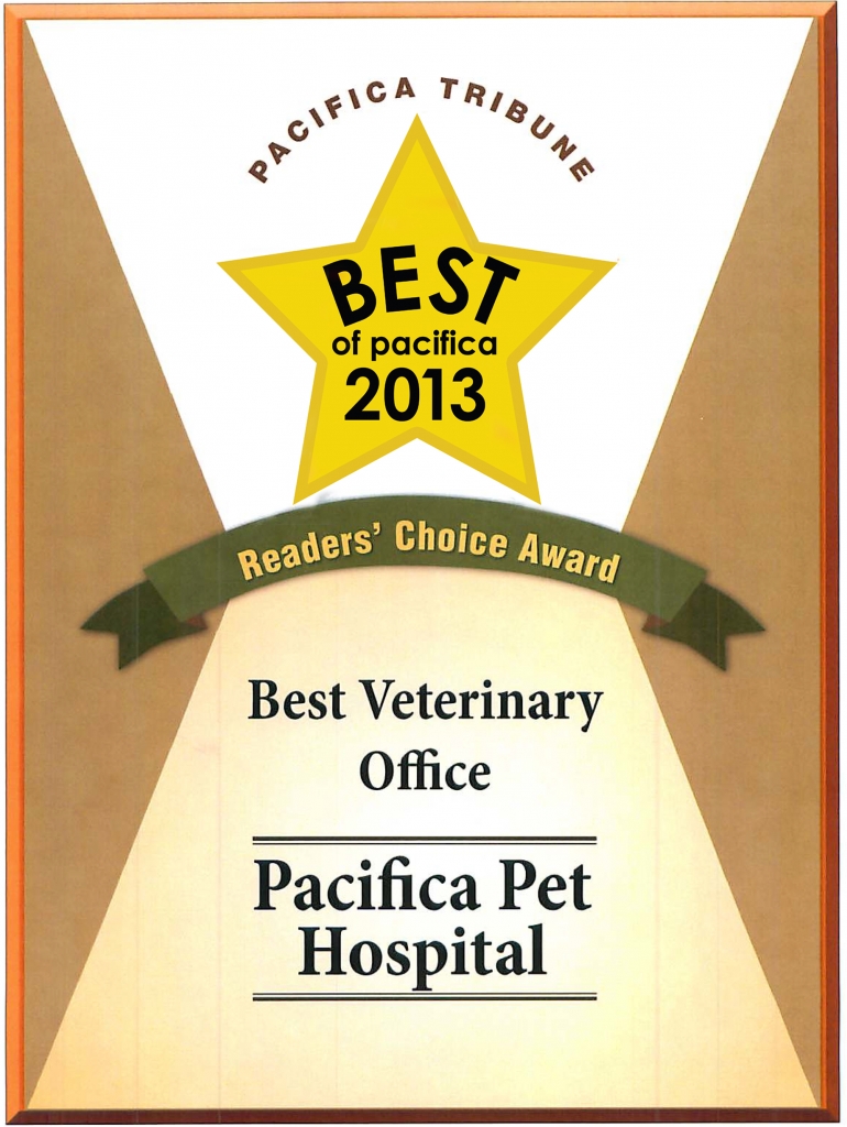 Best of Pacifica 2013