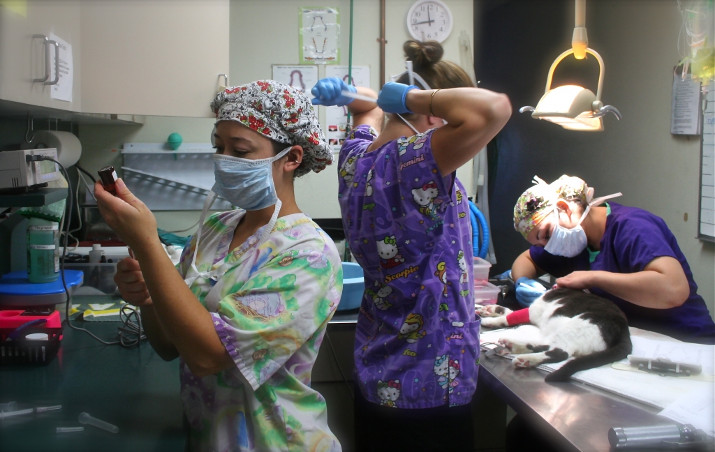 Our staff preparing for surgery